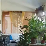 Aurora 2* دوينو